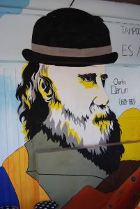 Darwin mural