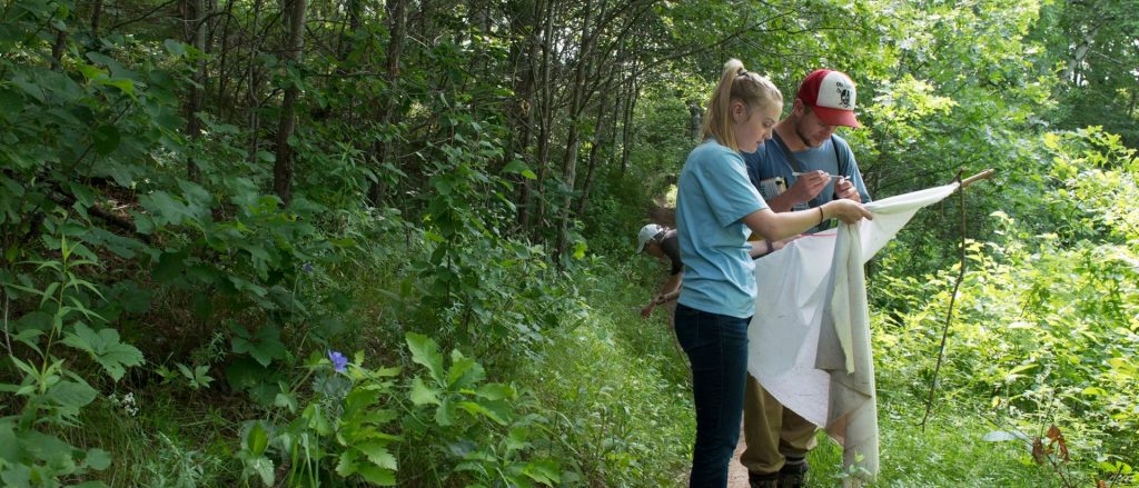 UW-Eau Claire biology students conduct field study in Putnam Park for deer tick research. 