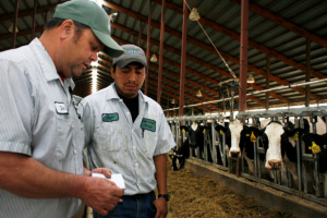 Darlington dairy owner James Winn says he relies on Latino immigrants to run his large farm. Hispanic workers are a crucial part of Wisconsin's signature dairy industry. (Photo by Jacob Kushner for the Wisconsin Center for Investigative Journalism)
